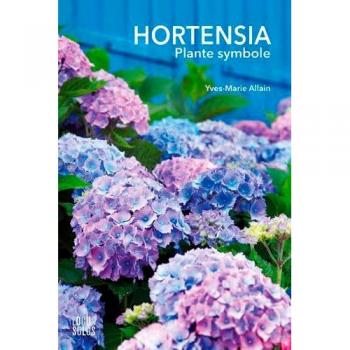 Hortensia : plante symbole