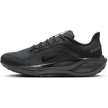 Nike Pegasus 41 GORE-TEX Herren Laufschuhe in Schwarz