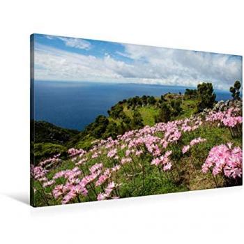 Premium Textil-Leinwand 90 × 60 cm – „Blütenpracht São Jorge“ von Sabine Jost, CALVENDO
