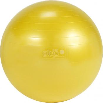 Therapieball Plus von Gymnic