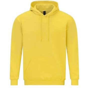SoftStyle Pistachio Midweight Hoodie – Gildan Adult