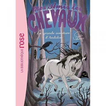 Mes amis les chevaux, Tome 21 : La grande aventure d'Andalou