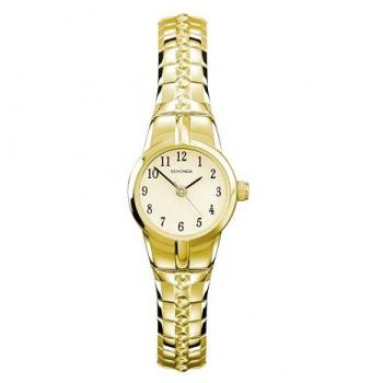 Gold Alloy Newton Expandable Watch – Champagne Dial