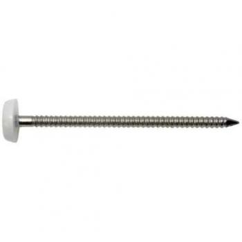 Clou à tête plastique SWG 3.1 mm x 65 mm en acier inoxydable A4