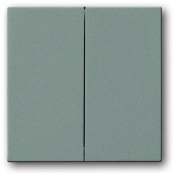 Busch-Jaeger Friends of Hue Bedieningswip Grijsmetallic 6736 FoH-84