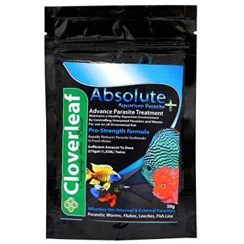 AquaticSafe Parasite+ 50g Tank Treatment