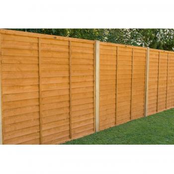 6ft x 5ft Dip Treated Overlap Fence Panel