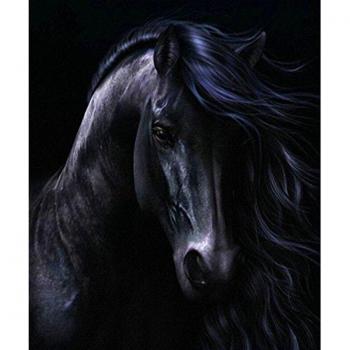 Nähen mit Glitzer: Schwarzes Pferd 30 x 40 cm