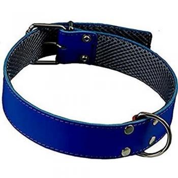 Collar de Cuero con Forro para Galgos Azul