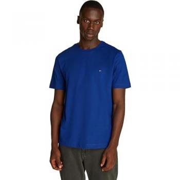Tommy Hilfiger Men's Seasonal T-Shirt