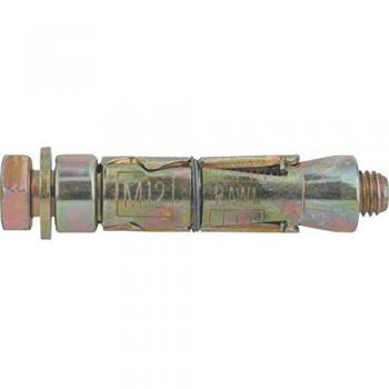 Rawlplug M10 Shield Anchor Bolt