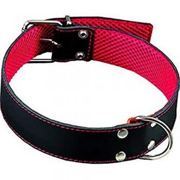 Collar de Cuero para perros Arppe