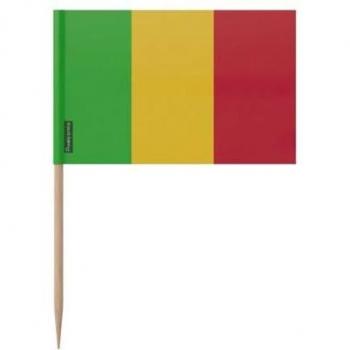 12 cm Mali Flag Bamboo Toothpick Pack – 100 Pieces, Double‑Printed Multicolored