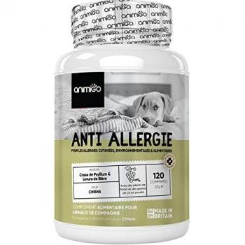Natural Allergy Relief for Dogs