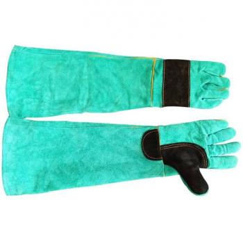 Green Anti-Bite Pet Gloves