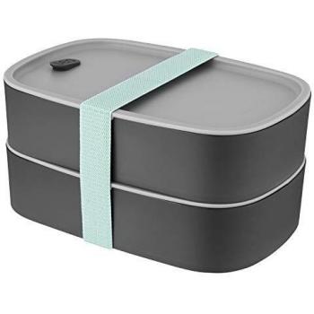 One‑Size Leo Bento Box