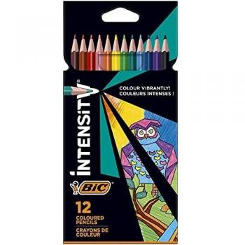 Etui de 12 crayons de couleur BIC Color Up