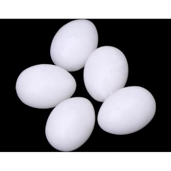 Pigeon Reproduction Simulation Eggs Plastic