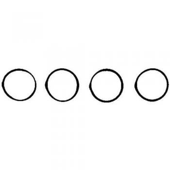 REINZ 11-77542-01 Set guarnizioni, collettore aspirazione