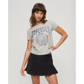 Superdry College Scripted Graphic T-shirt Glacier Grey Marl for Women