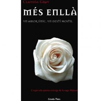 Més enllà: Un amor únic, un destí hostil (L' illa del temps)