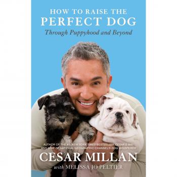 How to Raise the Perfect Dog
