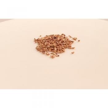 Cichorium Chicoree Endive Zoom – 250 graines, Fertile Jardin