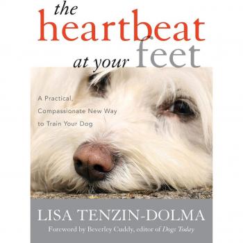 The Heartbeat at Your Feet: A Practical, Compassionate New Way to Train Your Dog