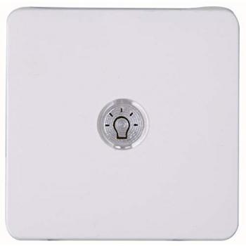 Kontrollwippe Schalter weiß glanz Lichtausl Symbol Licht 330213006