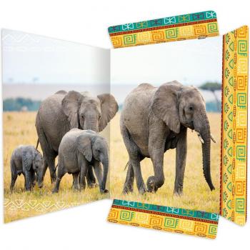 Rnk Cartella elastica A3 Elefante
