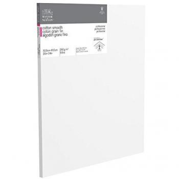 Winsor & Newton 20 x 24-Inch Professional Cotton Smooth Canvas