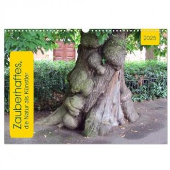 Zauberhaftes die Natur als Künstler (Wandkalender 2025 DIN A3 quer) CALVENDO Monatskalender