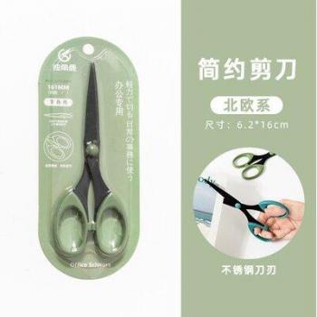 Home Furnishing Stainless Steel Scissors