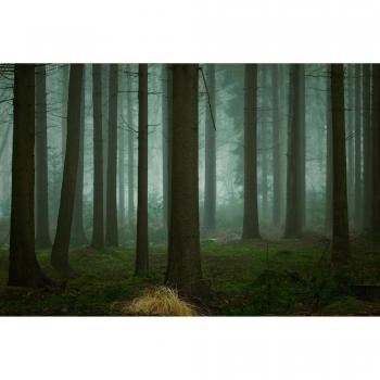 Winterpoesie – Ellen Borrgreve Fototapete