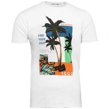 Tee-shirt Best Mountain Homme Find Your Soul avec Imprimé Palmier