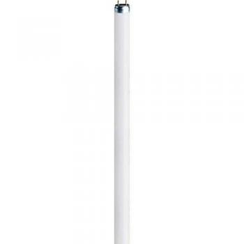 Tubo neon Osram 8W G5 Bianco freddo