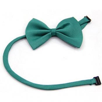 Accesorio NeckRay Para Mascotas