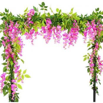 Flor Vid Glicinia 7 ft – Kit de Dos