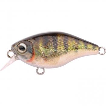 Zander 38F Mini Crank Ikiru SL SH