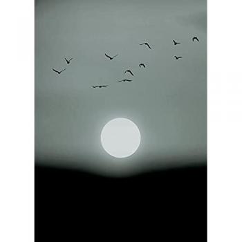 Tapisserie Murale Lune et Oiseaux
