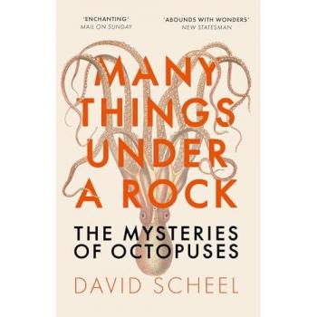 Many Things Under a Rock : The ‘mind-blowing’ book that reveals the mysteries of the octopus