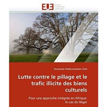 Lutte contre le pillage et le trafic illicite des biens culturels: Pour une approche intégrée en Afrique: le cas du Niger