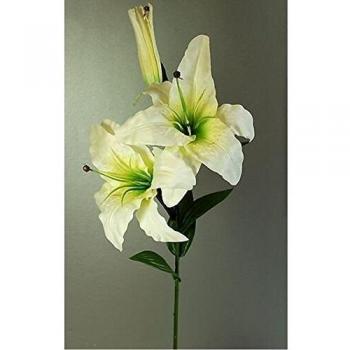 Casablanca Cream Decorative Basket – Country Style Cameo