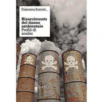 Il risarcimento del danno ambientale. Profili di analisi