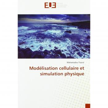 Modélisation cellulaire et simulation physique