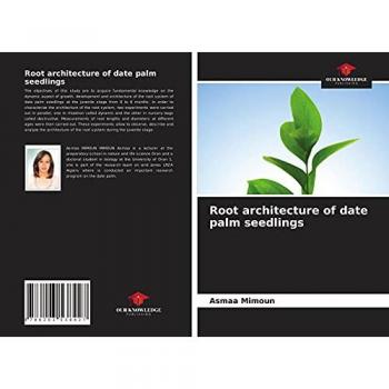 Root architecture of date palm seedlings