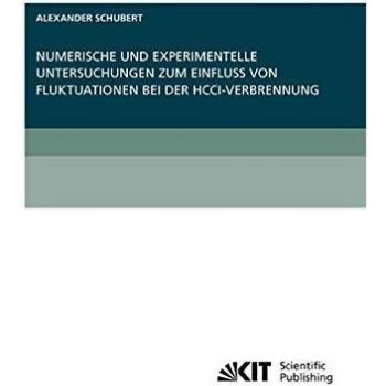 Numerische und experimentelle Untersuchungen zum Einfluss von Fluktuationen bei der HCCI-Verbrennung