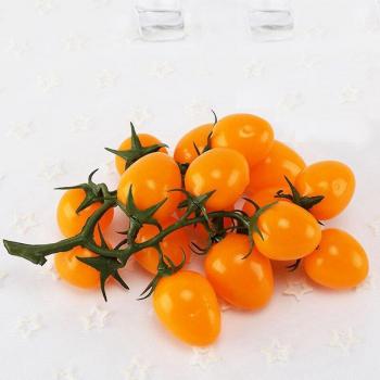 Fake Cherry Tomato for Photography