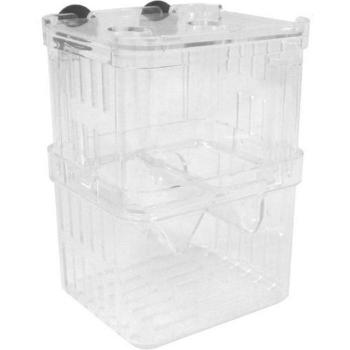 Exquisite Hatching Incubator Aquarium