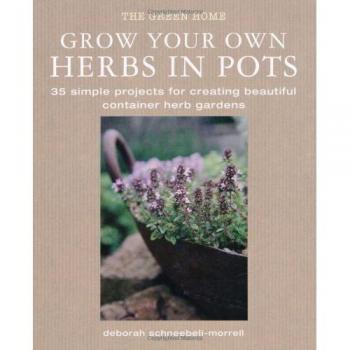 Grow Your Own Herbs in Pots